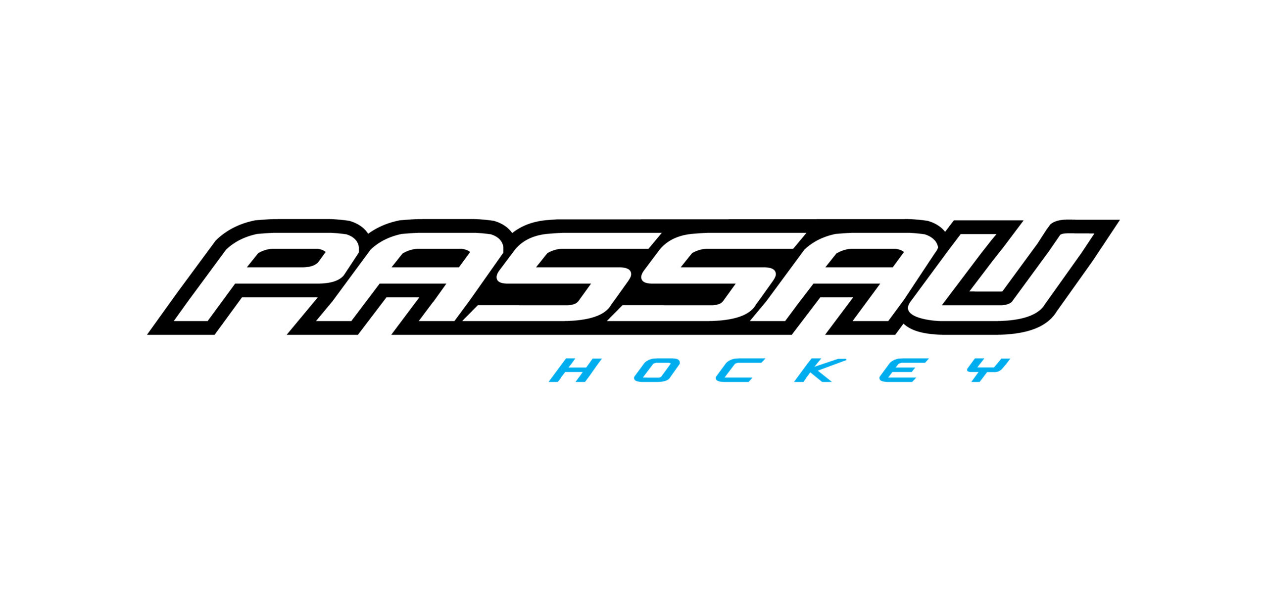 Passau Logo #1